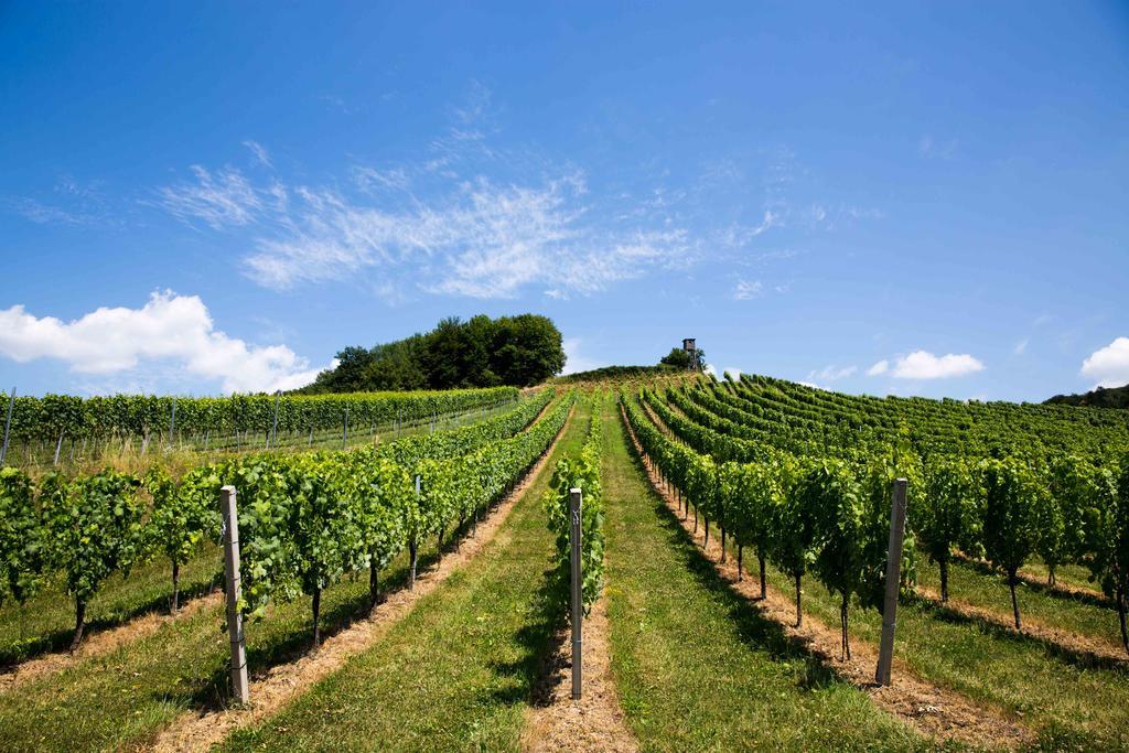 Weingut-Gaestezimmer Uhl Рач-ан-дер-Вайнштрассе Екстер'єр фото